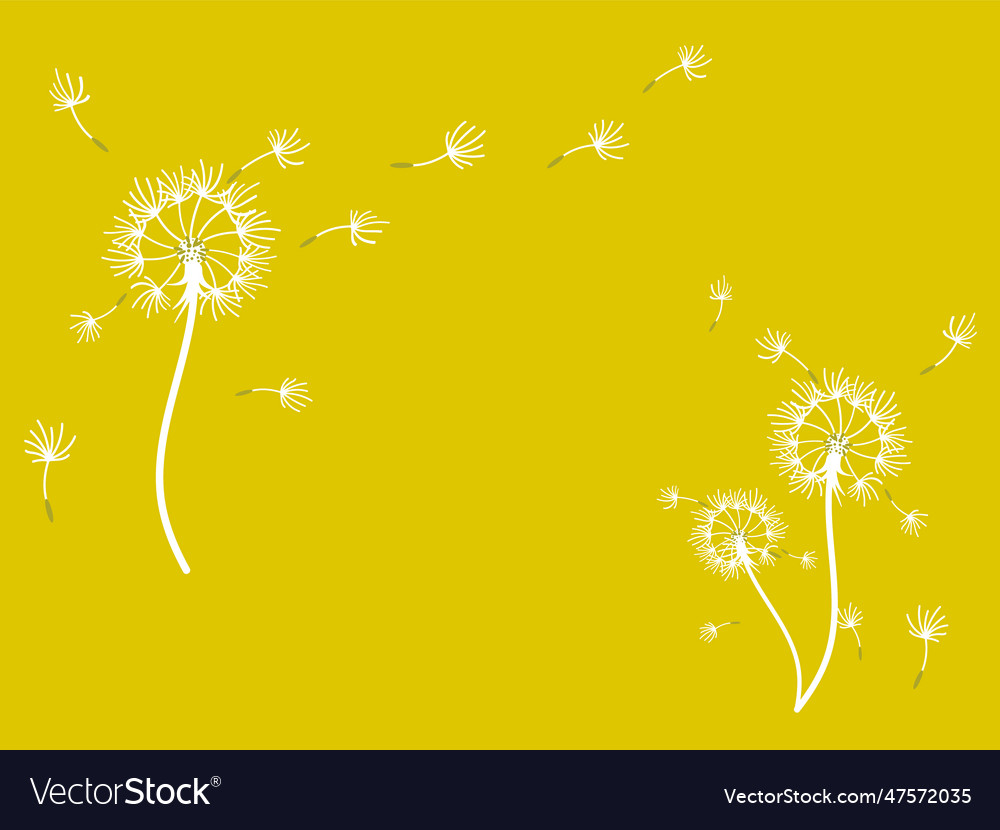 Abstract background dandelion design Royalty Free Vector