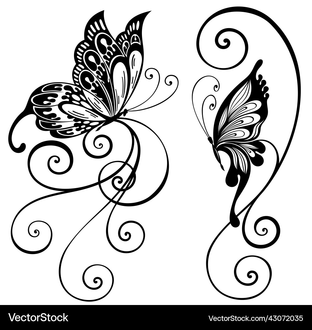 Butterfly Royalty Free Vector Image - VectorStock