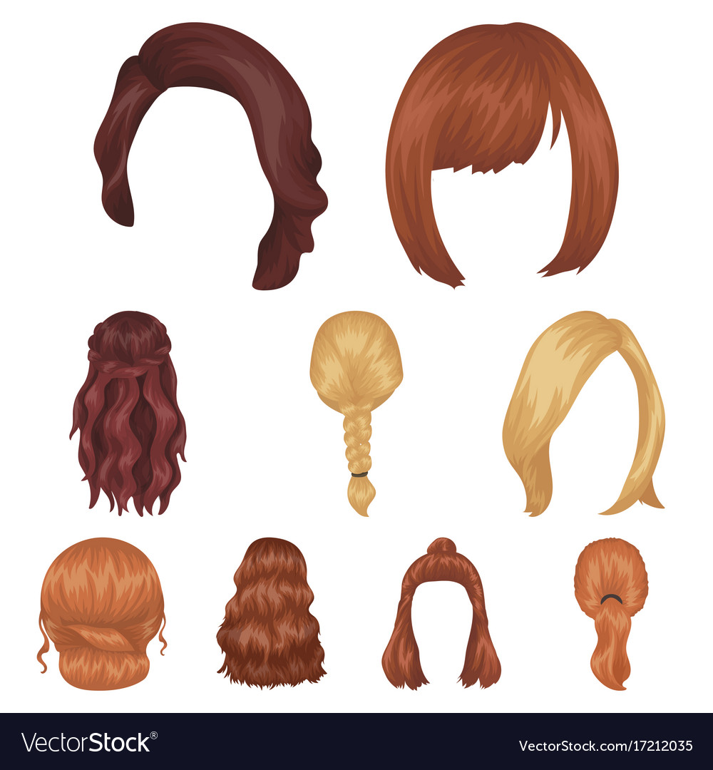 Quads blond braids and other types of hairstyles Vector Image