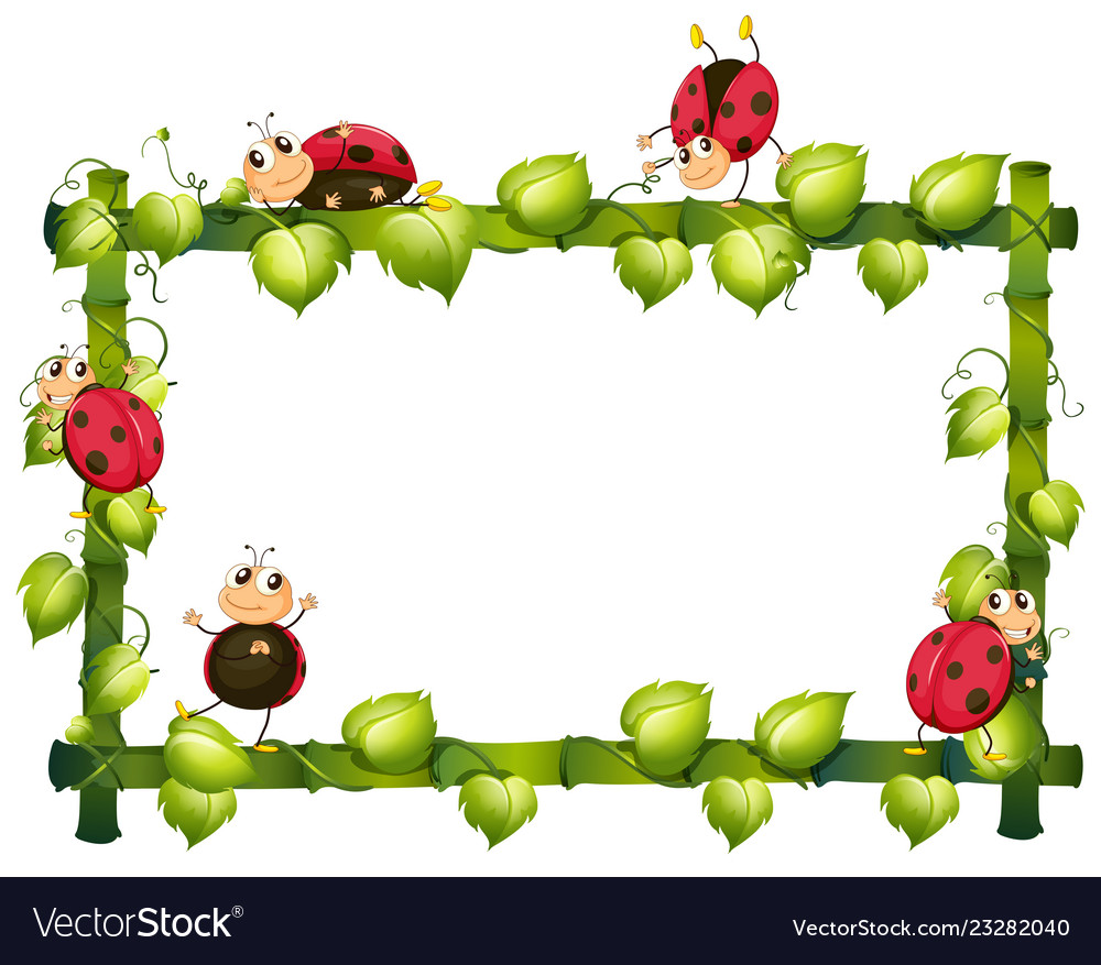 A nature vine template Royalty Free Vector Image