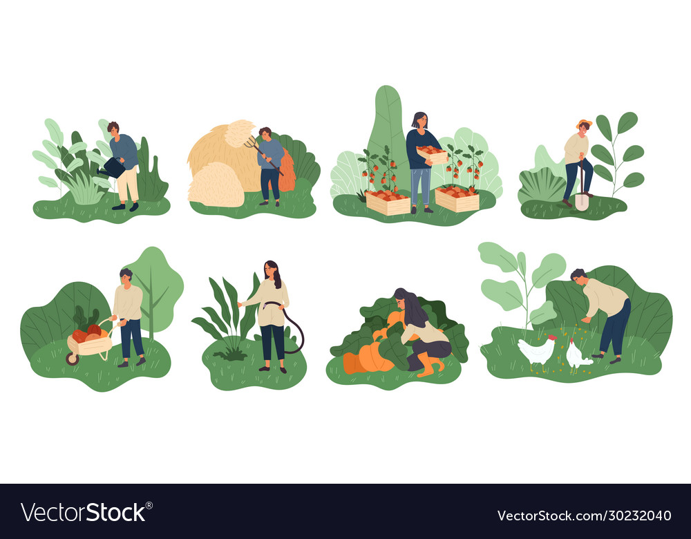 set-farming-activities-for-a-farmer-and-wife-vector-image