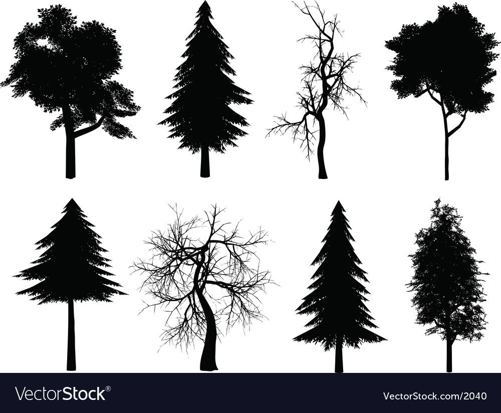 Download Tree silhouettes Royalty Free Vector Image - VectorStock