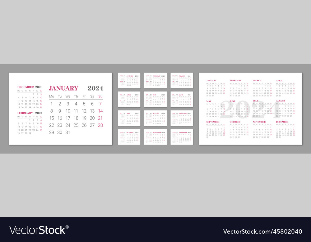 Wall calendar template for 2024 year in english Vector Image