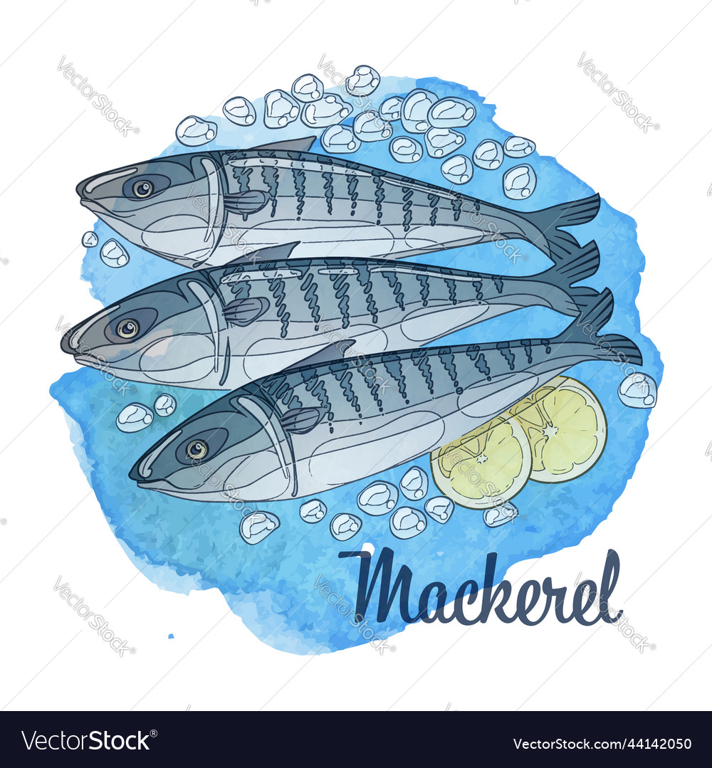 Frozen mackerel fish cartoon Royalty Free Vector Image Frozen mackerel fish cartoon Royalty Free Vector Image