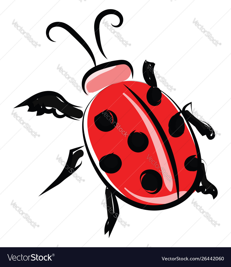 Ladybug Drawing PNG Transparent Images Free Download, Vector Files