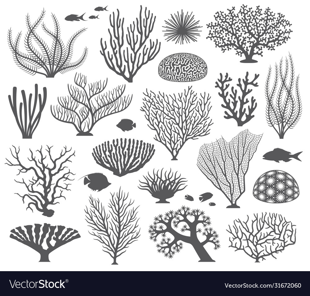 Underwater set corals and algaes Royalty Free Vector Image