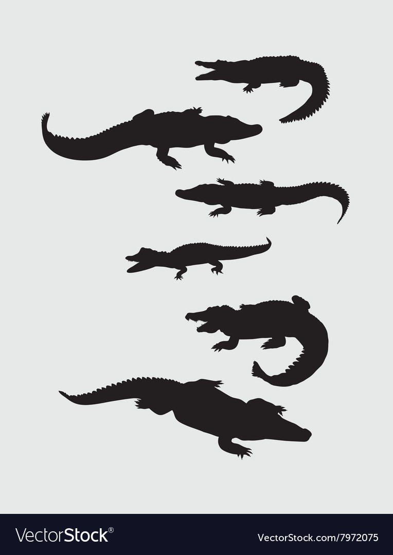 Crocodile Silhouettes Royalty Free Vector Image