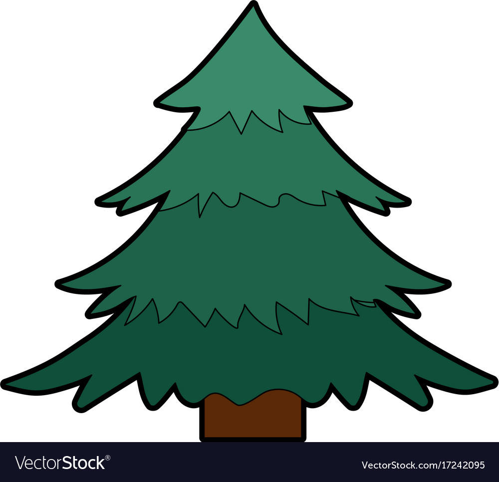 Natural pine tree with branches design Royalty Free Vector