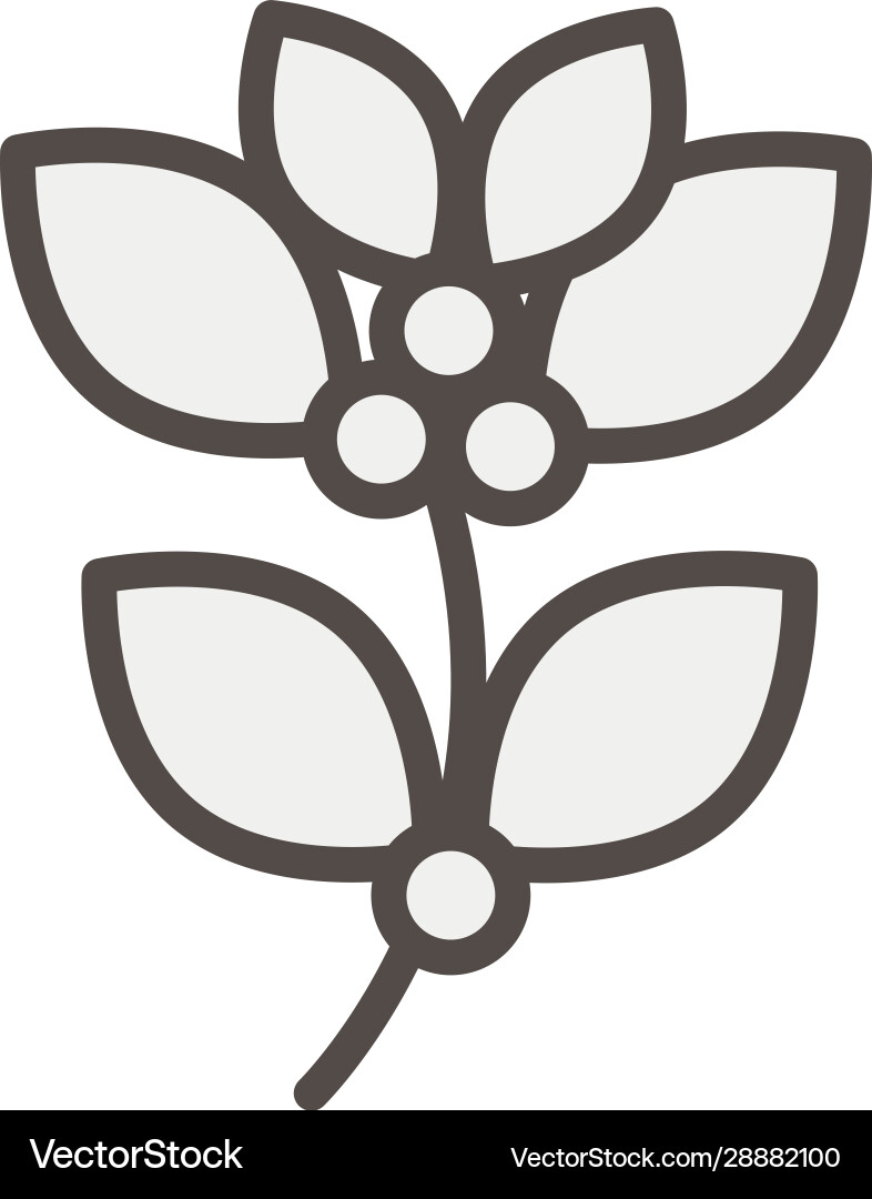 Coffee plant with seeds isolated icon Royalty Free Vector
