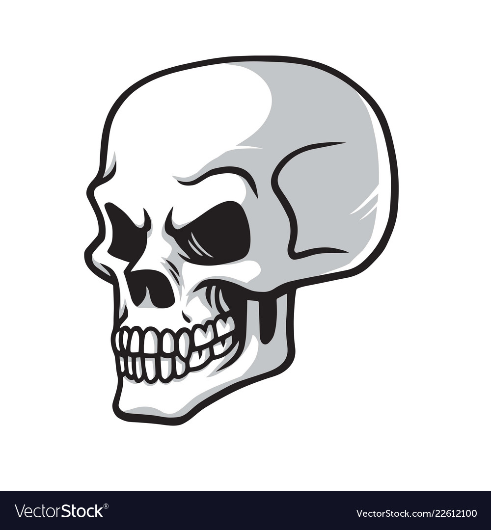 Skull cartoon drawing icon Royalty Free Vector Image