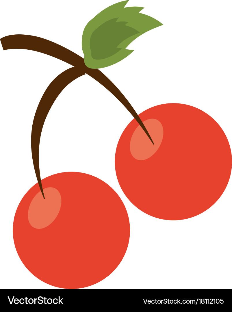 Fruit icon image Royalty Free Vector Image - VectorStock