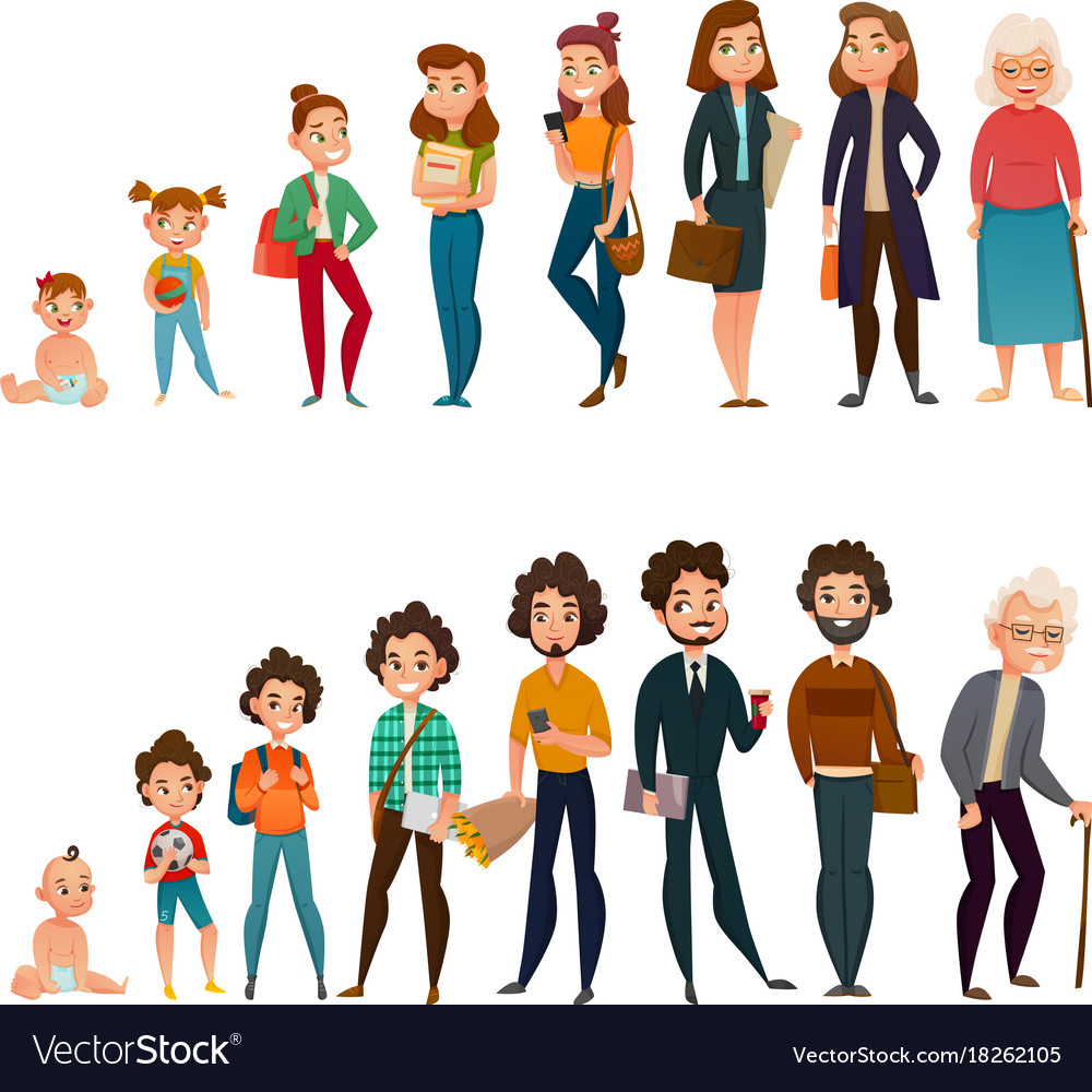 Human Life Cycle Set Royalty Free Vector Image | The Best Porn Website