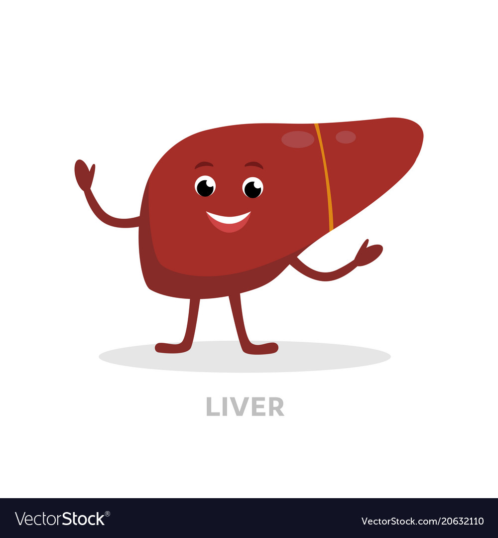 Strong healthy liver cartoon character isolated on