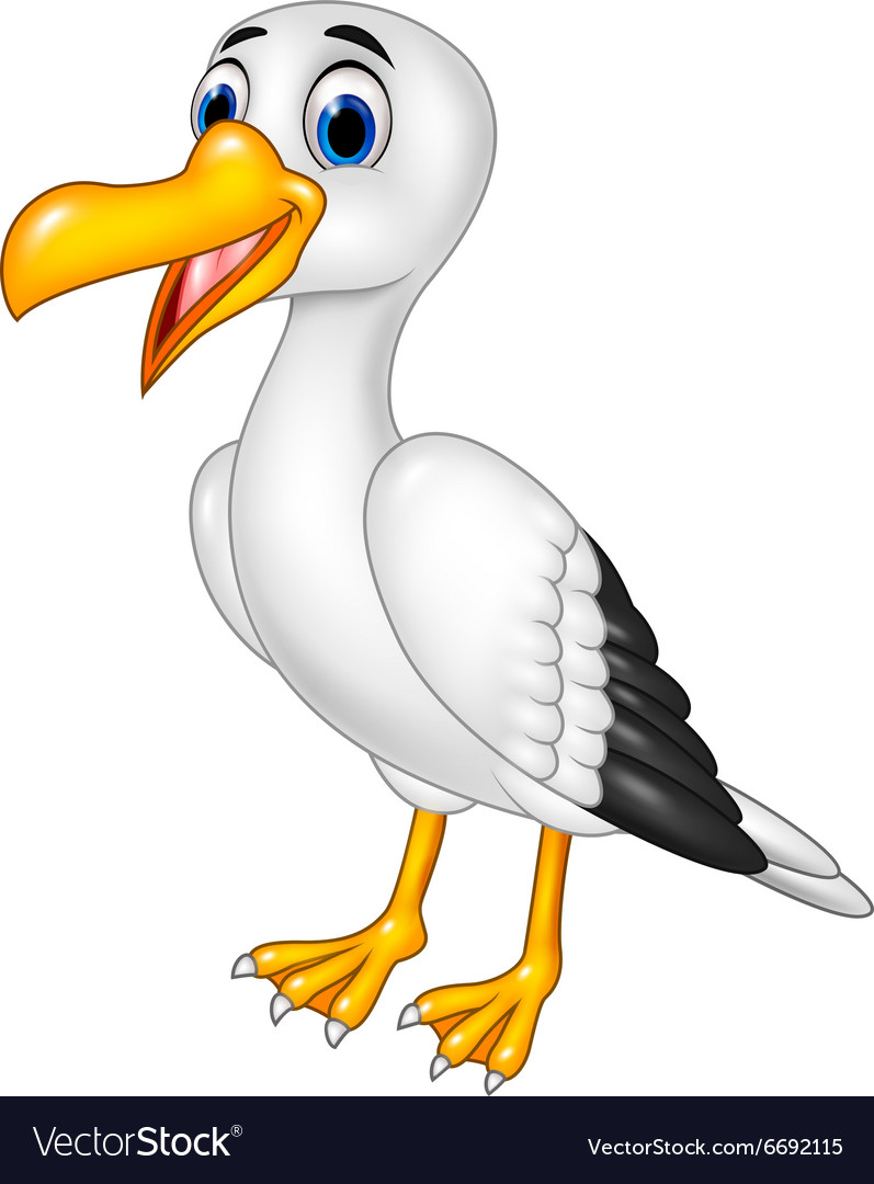 Cartoon funny seagull posing isolated Royalty Free Vector