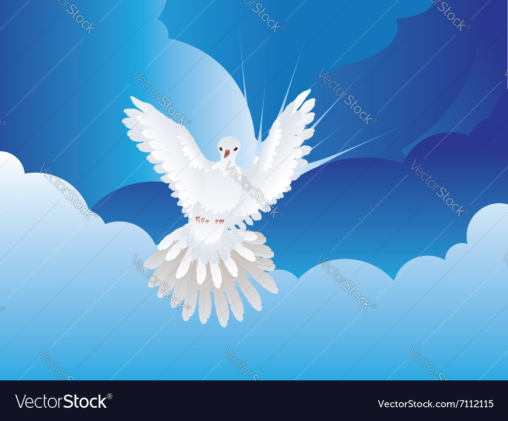 Dove in the sky Royalty Free Vector Image - VectorStock