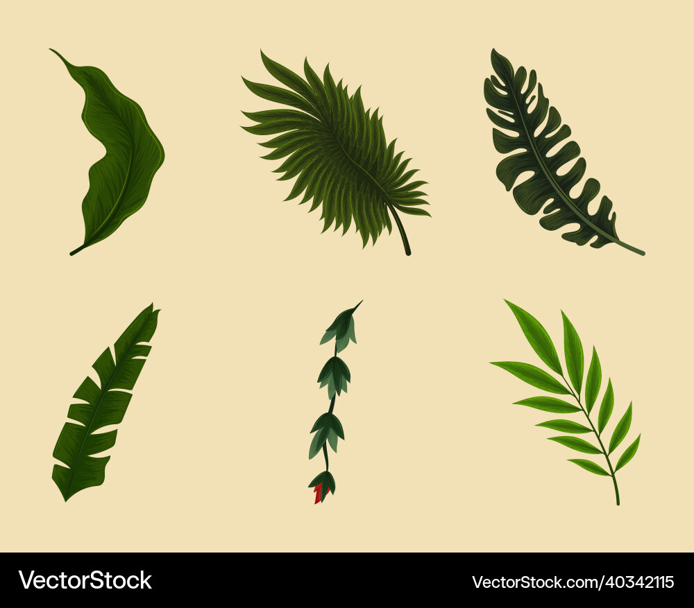 Icons leaf jungle Royalty Free Vector Image - VectorStock