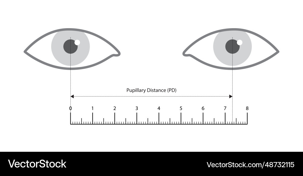 Pupillary distance measurement in cm ruler Vector Image