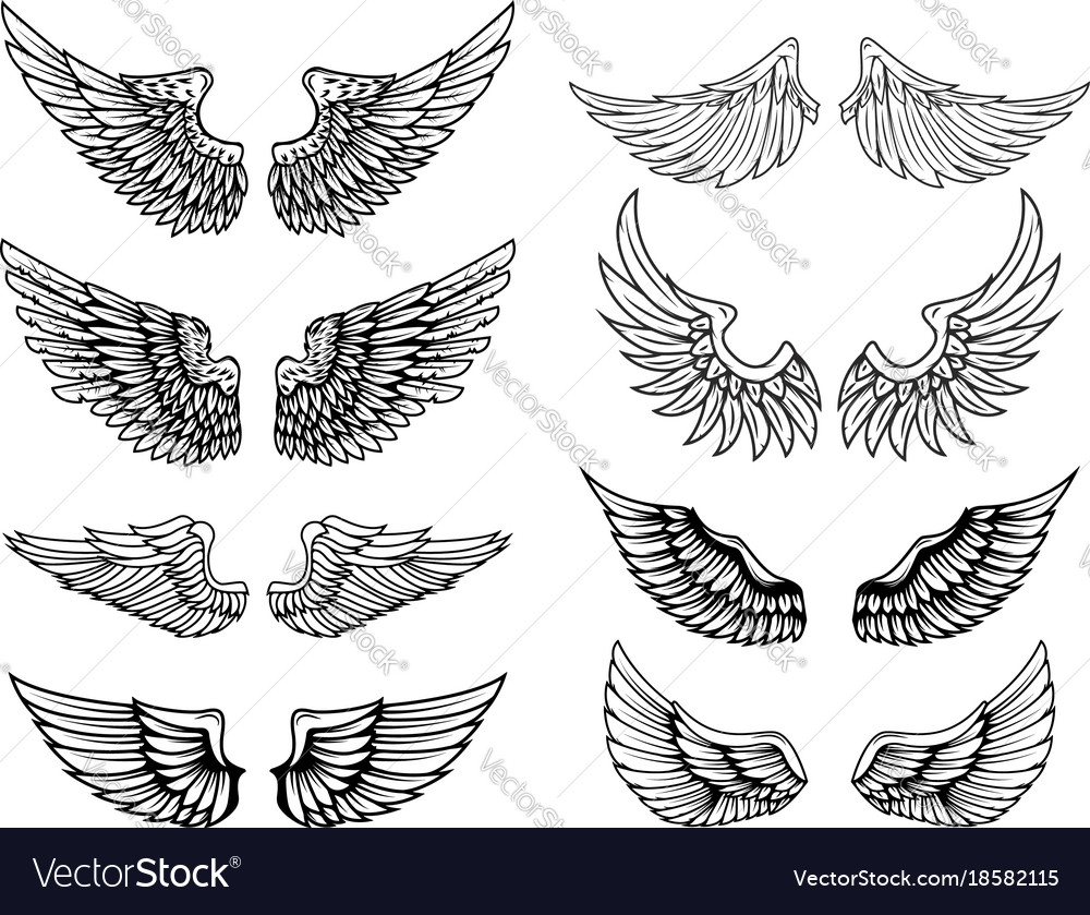 Set vintage wings design elements for logo Vector Image