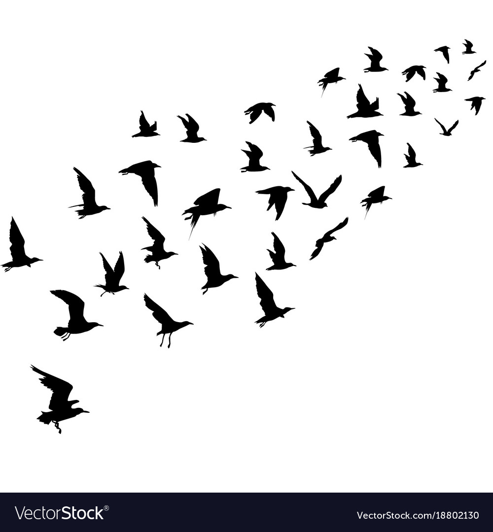 Silhouettes of flying birds Royalty Free Vector Image