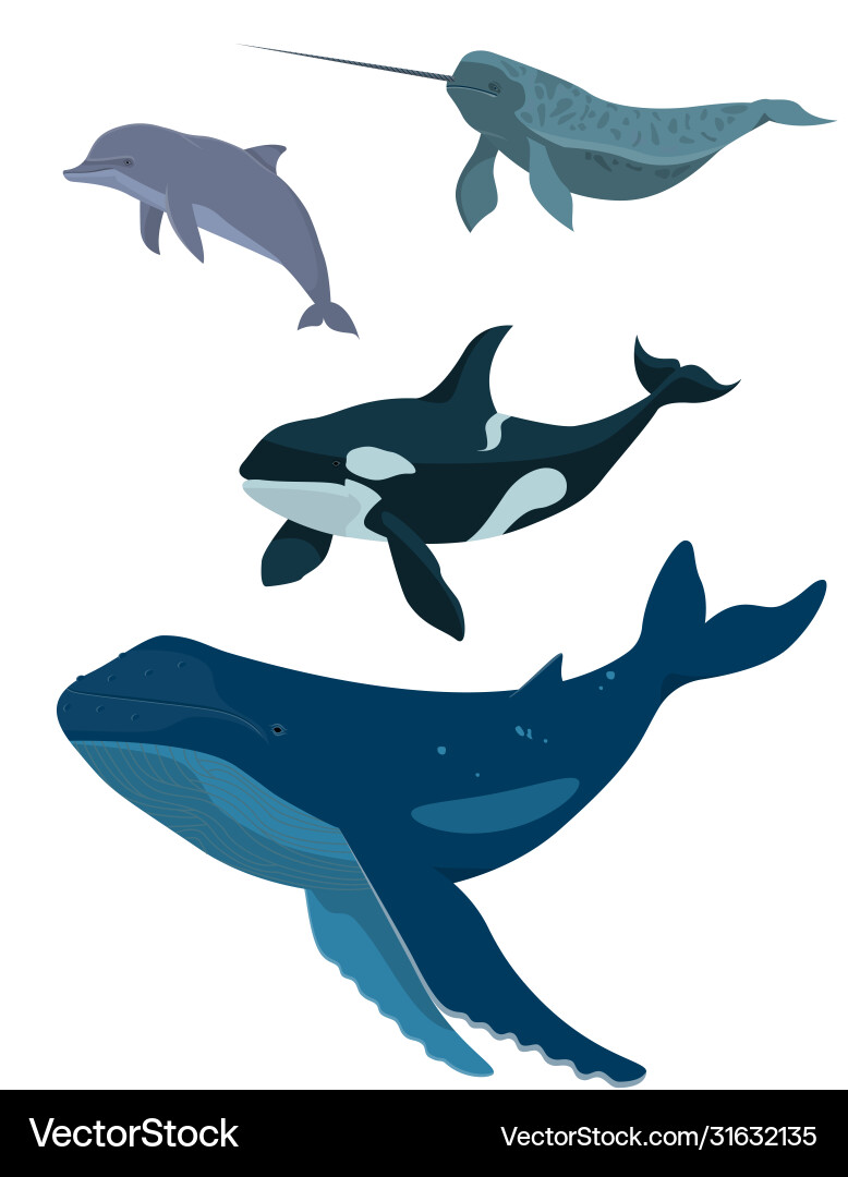 Set sea animals Royalty Free Vector Image - VectorStock
