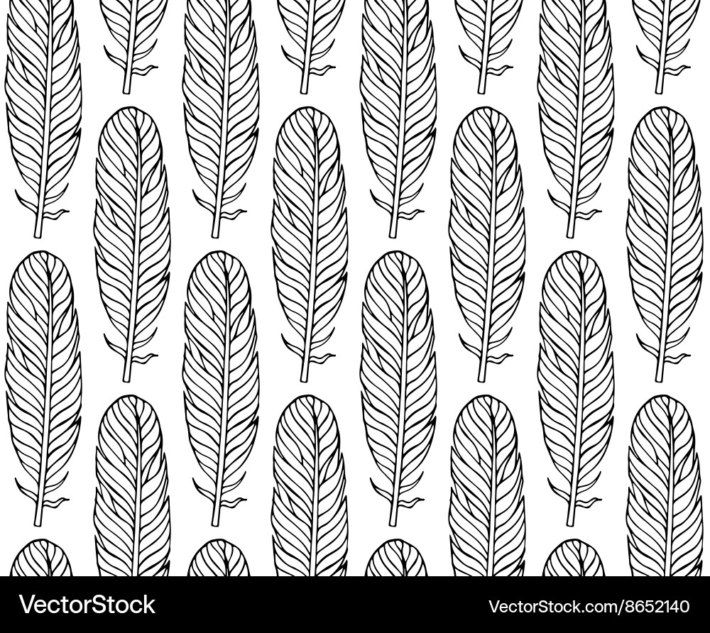 Black white seamless pattern with feathers boho Vector Image
