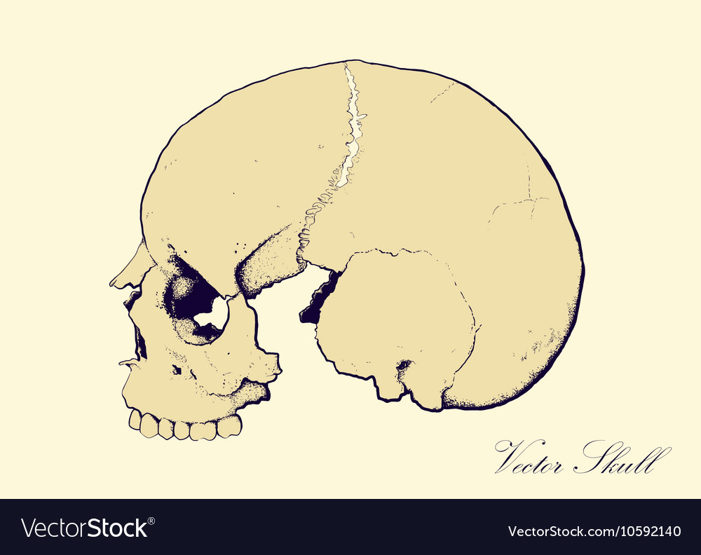 Retro skull profile