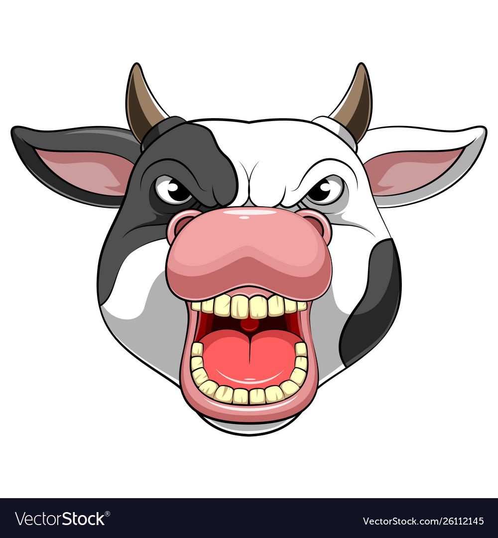 Character mascot head an cow Royalty Free Vector Image