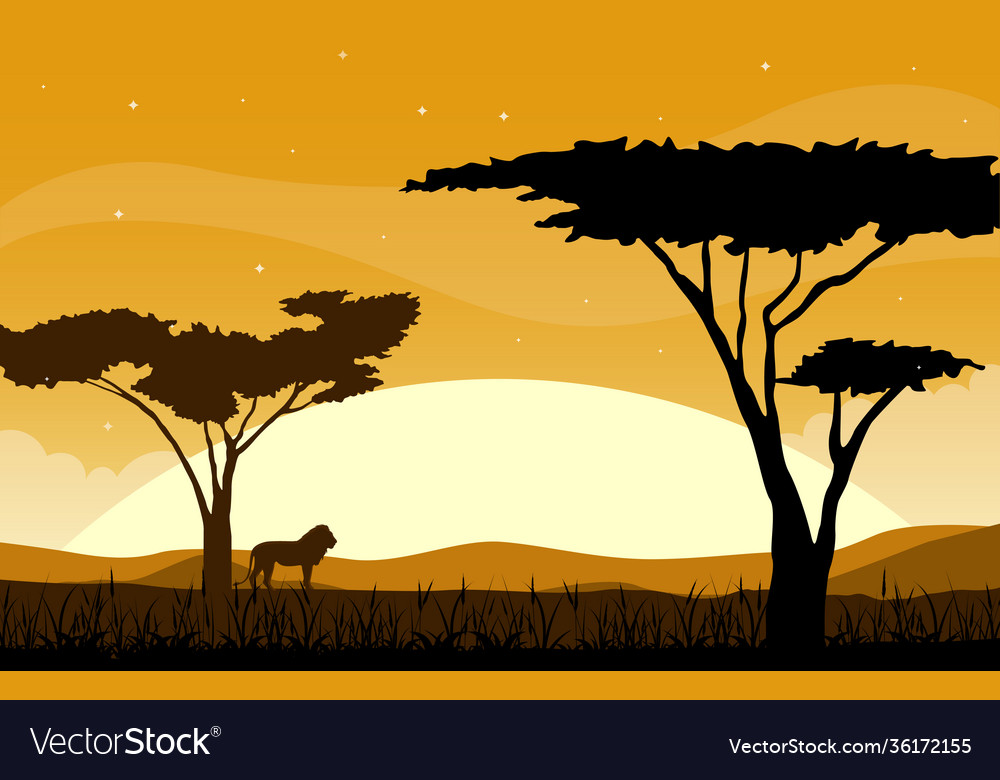 Lion tree animal savanna landscape africa wildlife