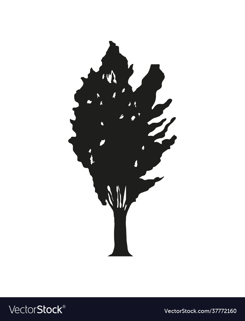 Silhouette detailed tree Royalty Free Vector Image