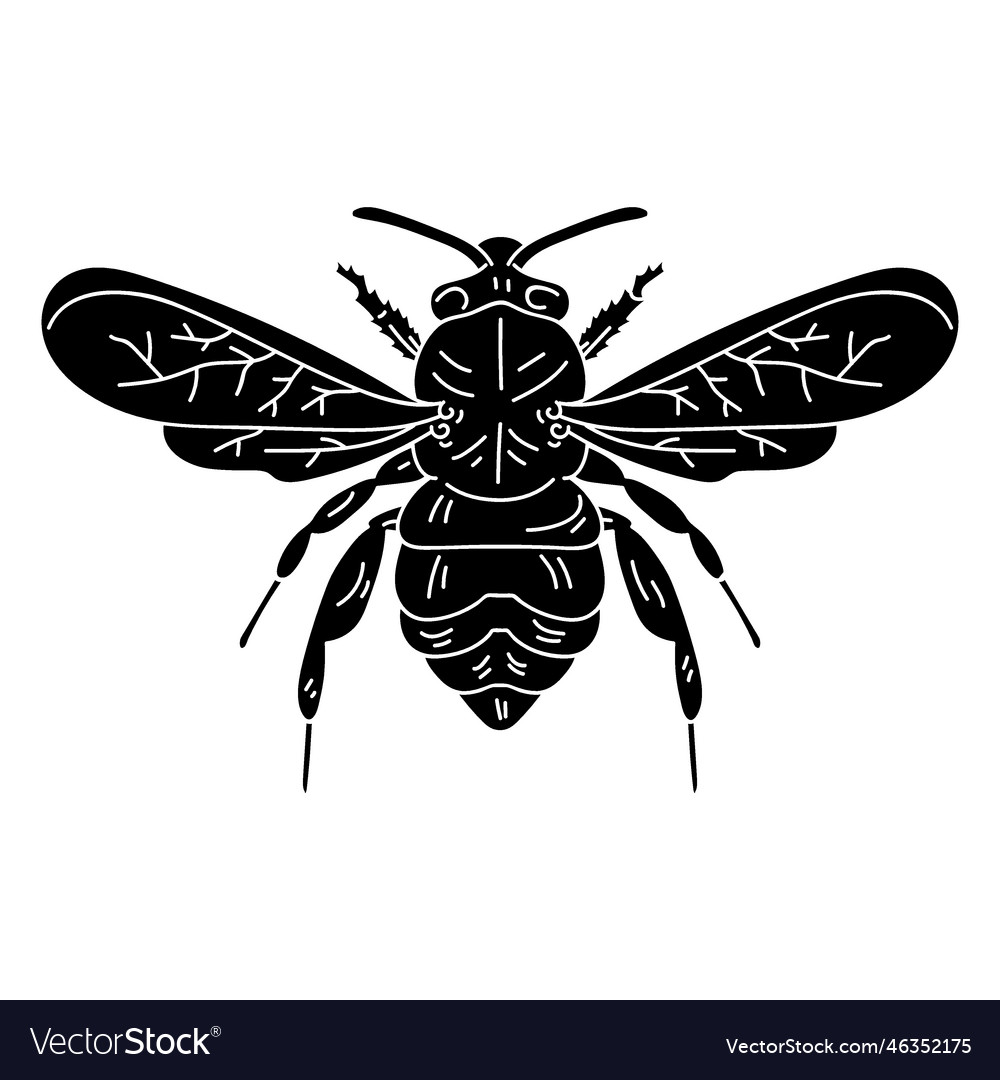 Bee leg wasp wing detailed silhouette insect Vector Image