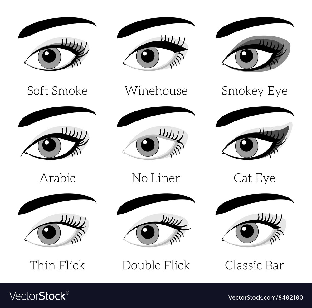 Eye makeup types infographic Royalty Free Vector Image