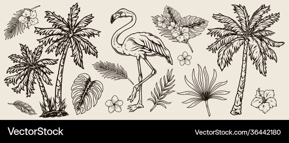 Vintage tropical elements composition Royalty Free Vector
