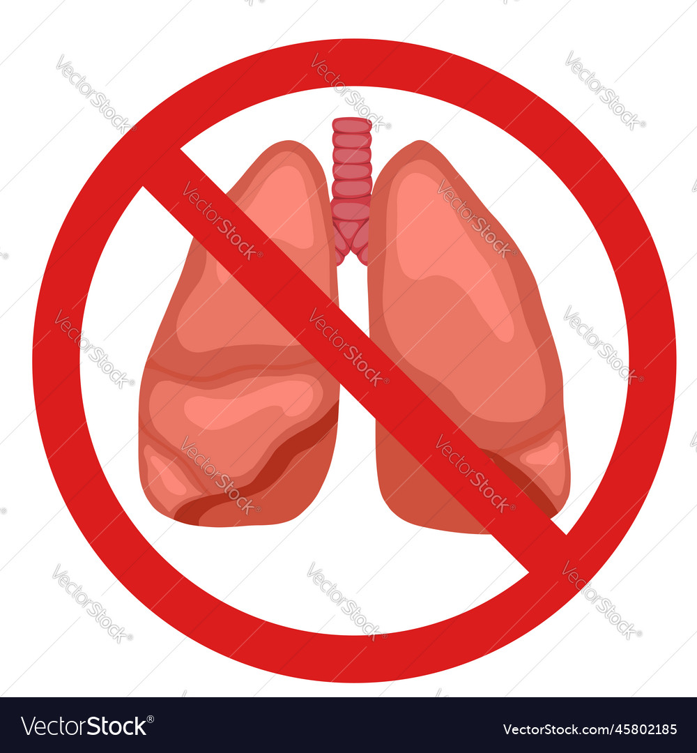 Anatomical of human lungs Royalty Free Vector Image