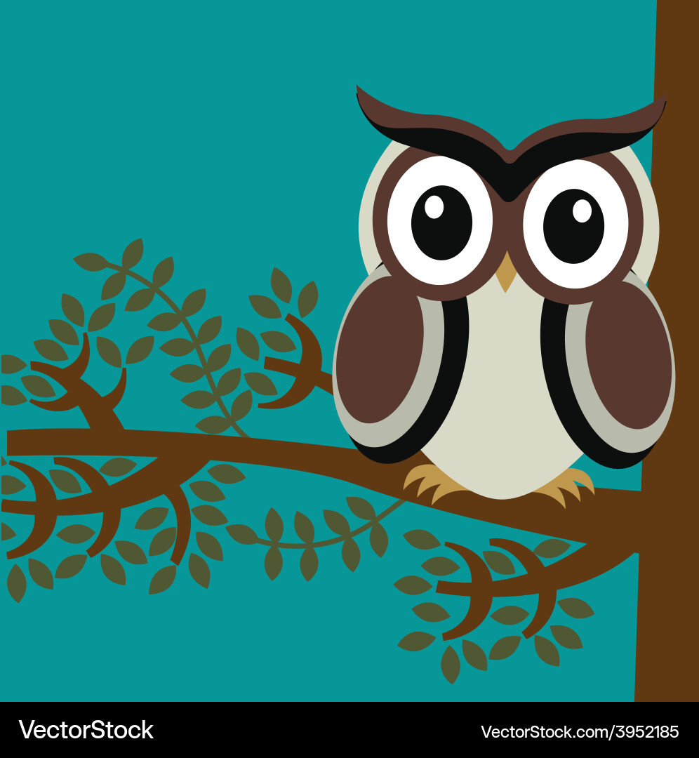 Owl bird Royalty Free Vector Image - VectorStock