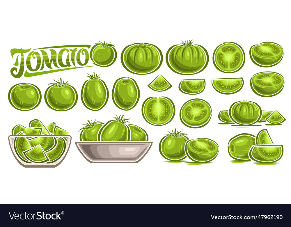 Green tomato set Royalty Free Vector Image - VectorStock
