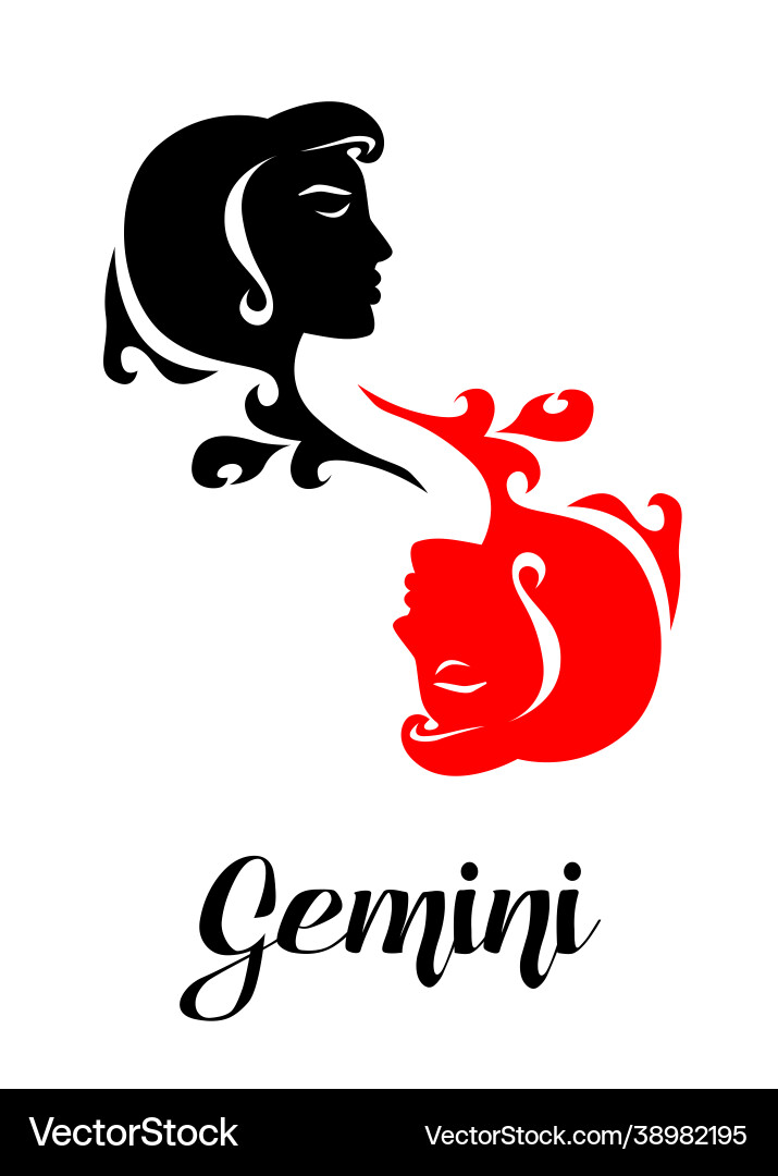 Gemini zodiac Royalty Free Vector Image - VectorStock