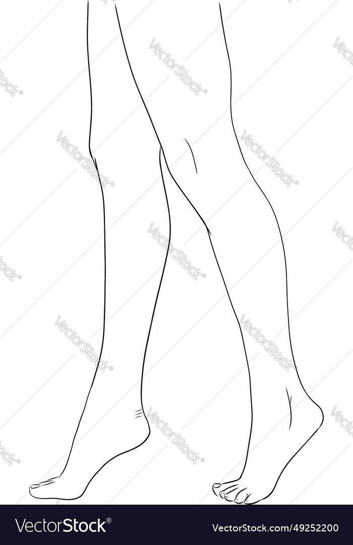 Beautiful female feet hand drawn of realistic Vector Image