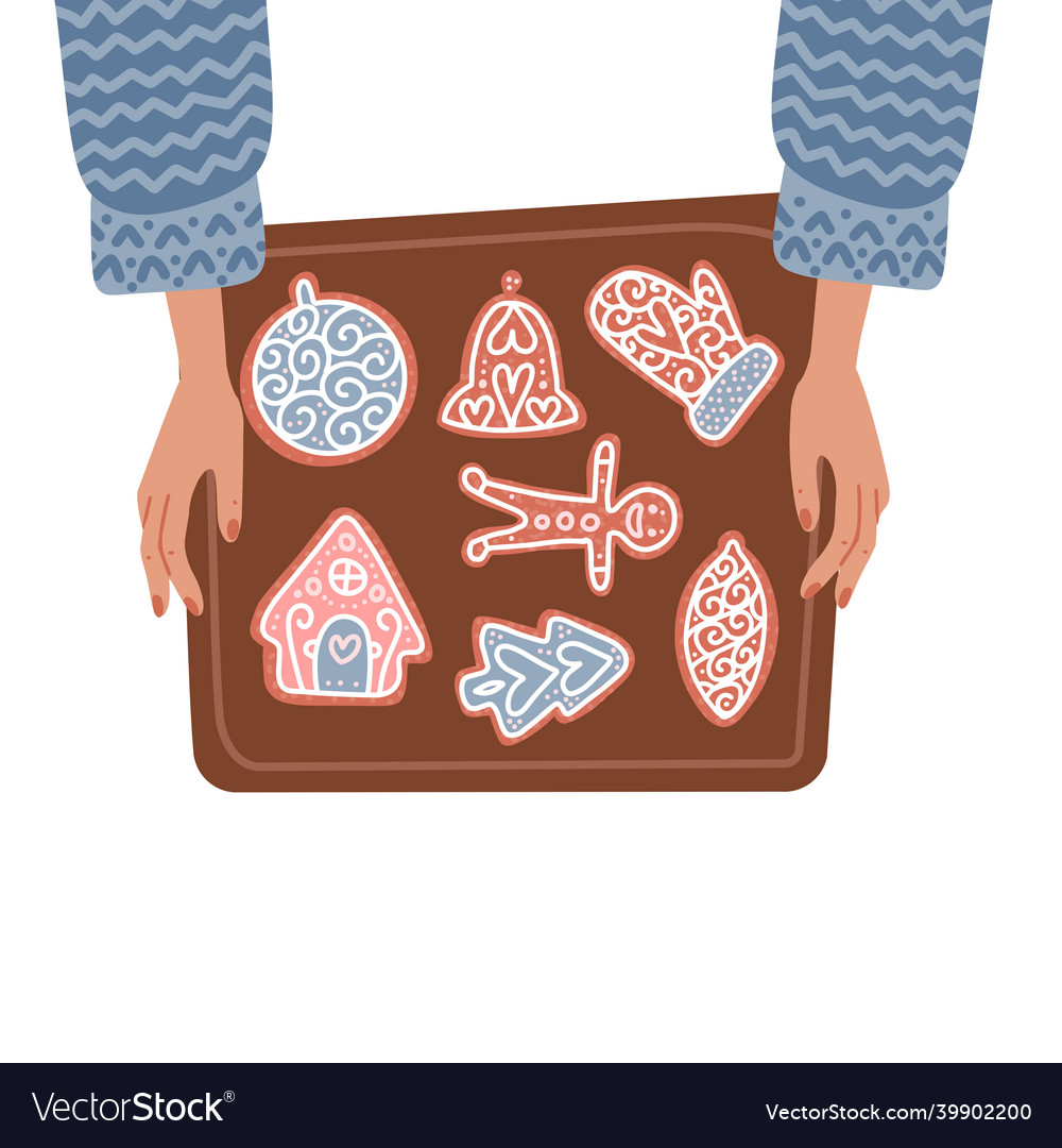 Two female hands holding baking tray vector image Two female hands holding baking tray