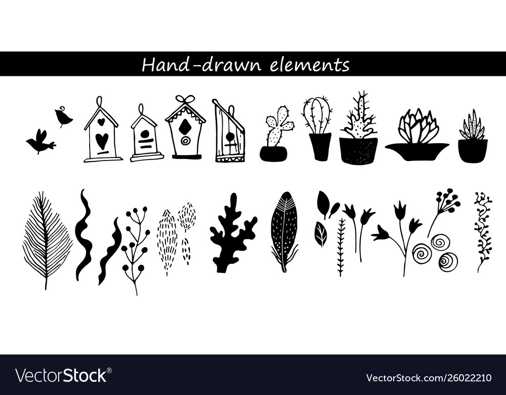 Collection hand drawn flowers and plant Royalty Free Vector