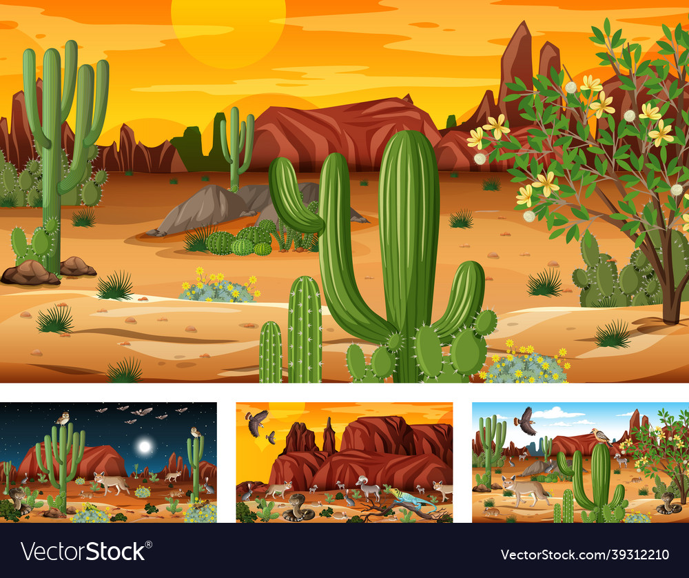 Different desert forest scenes with animals Vector Image