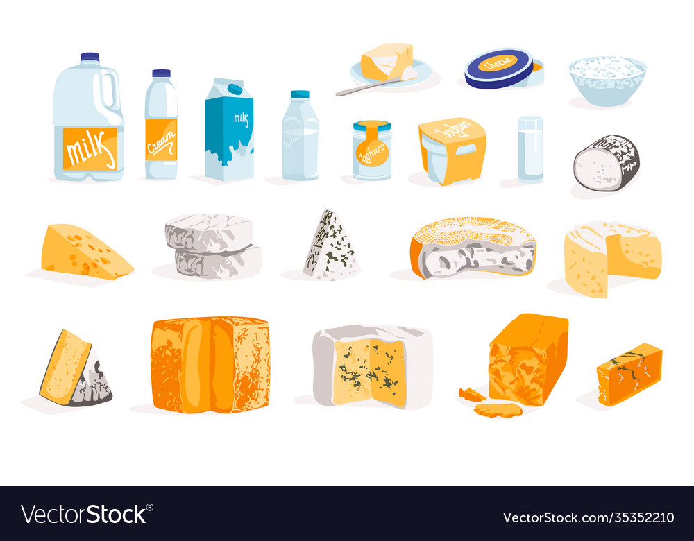 Fresh dairy products set Royalty Free Vector Image