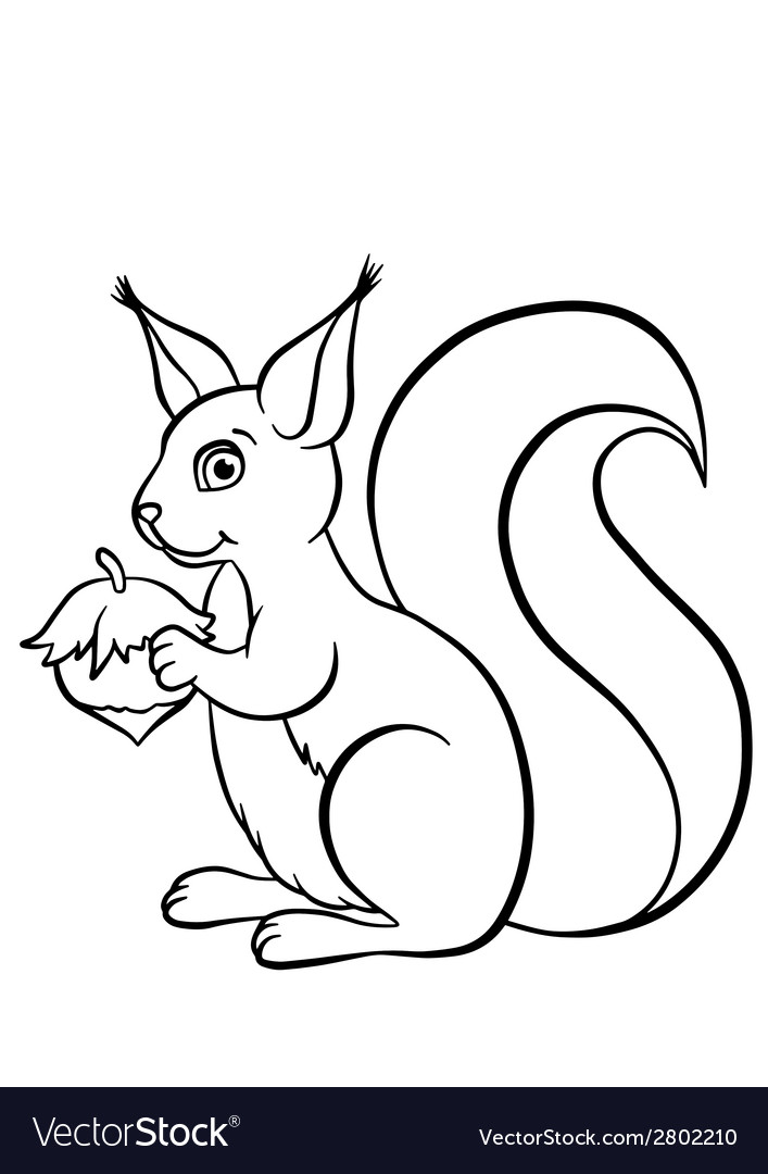 Белочка раскраска для детей распечатать бесплатно Little cute squirrel with huzelnut Royalty Free Vector Image