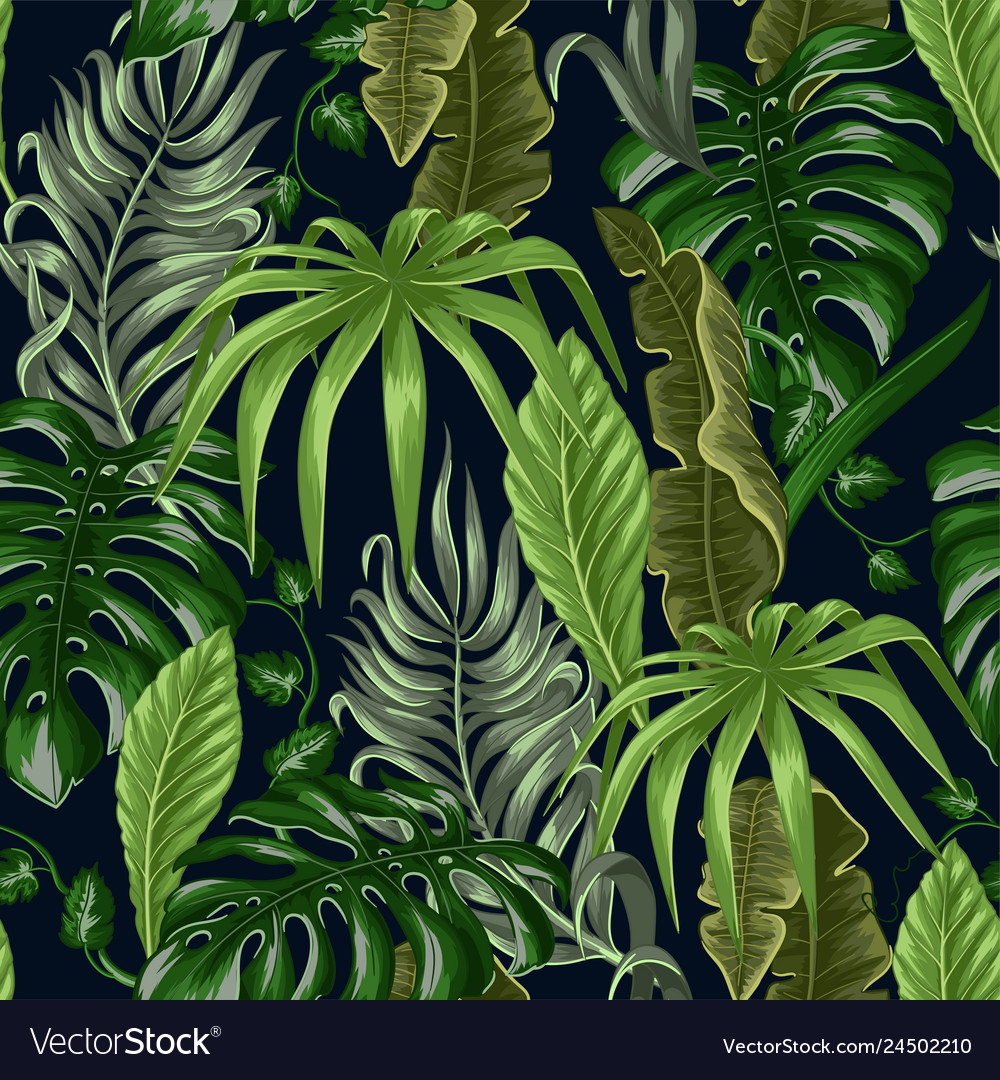 Seamless pattern with tropical banana palm Vector Image