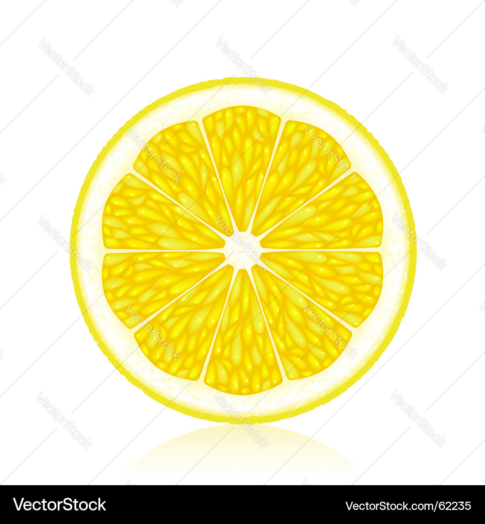 Lemon Royalty Free Vector Image - VectorStock