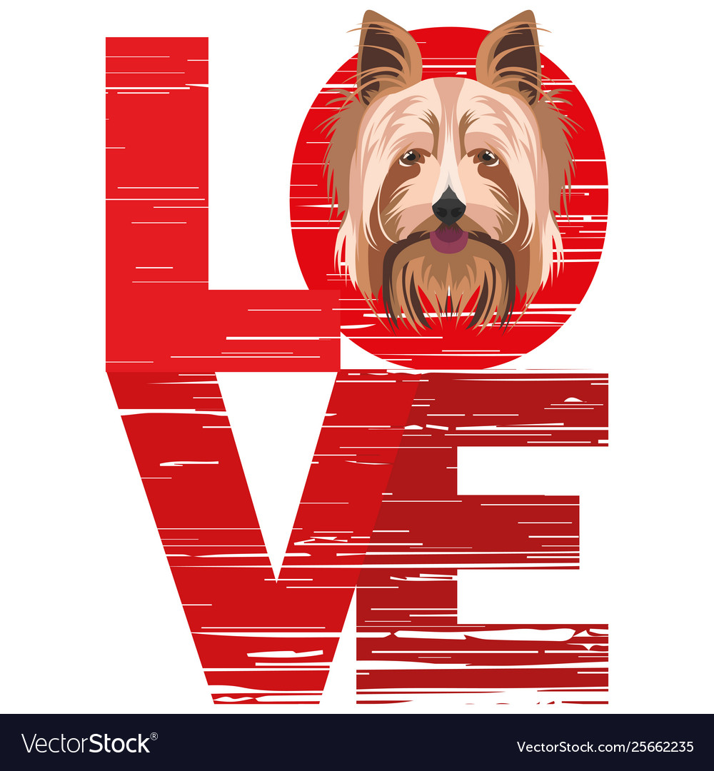 Love yorkshire terrier Royalty Free Vector Image