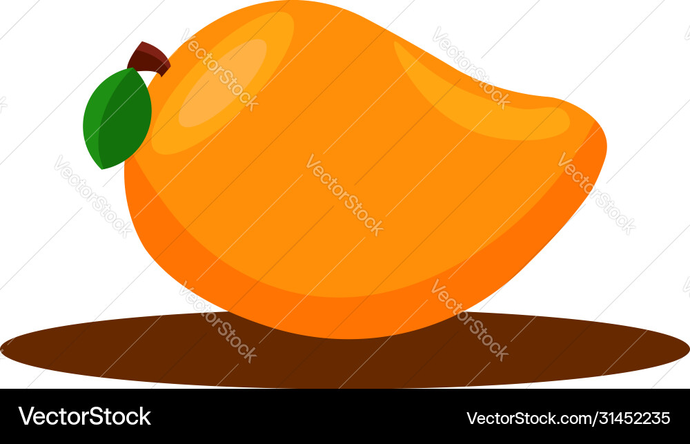 Mango on white background Royalty Free Vector Image