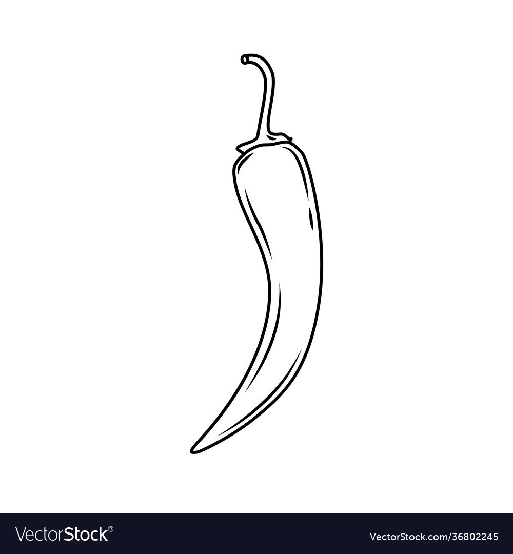 Chili Pepper Outline Icon Royalty Free Vector Image