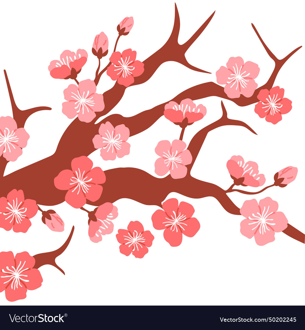 Spring flower the vegetal growth symbolized cycle Vector Image