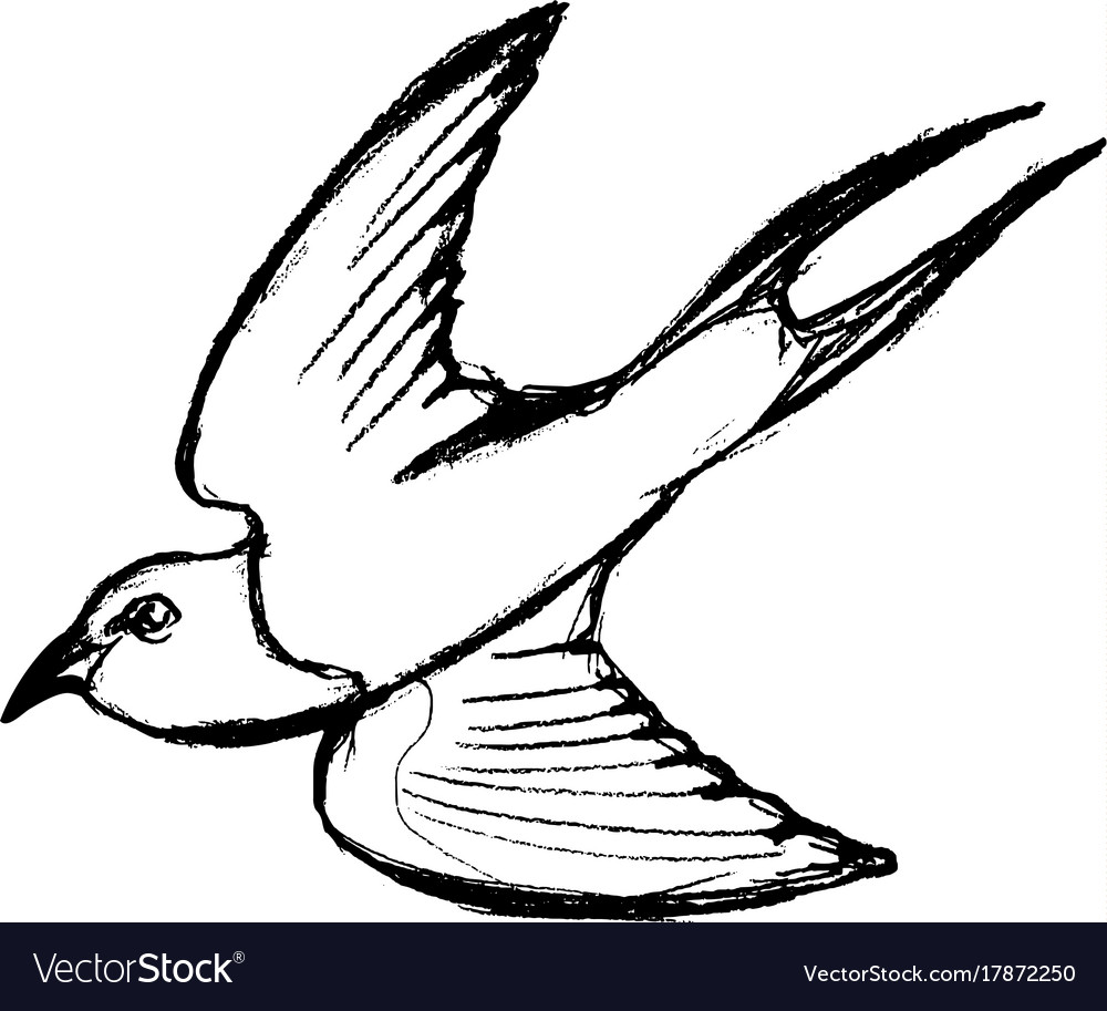 Flying Swallow Bird Royalty Free Vector Image - Vectorstock