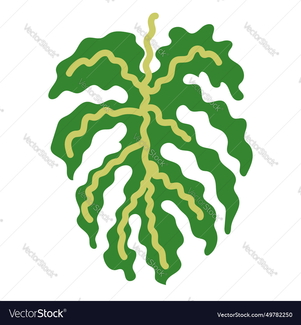Fresh Botanical Leaf Element Royalty Free Vector Image Fresh Botanical Leaf Element Royalty Free Vector Image
